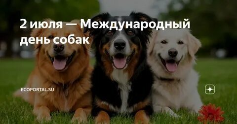 2 июля- Международный день собак. 2 июля- Международный день собак.